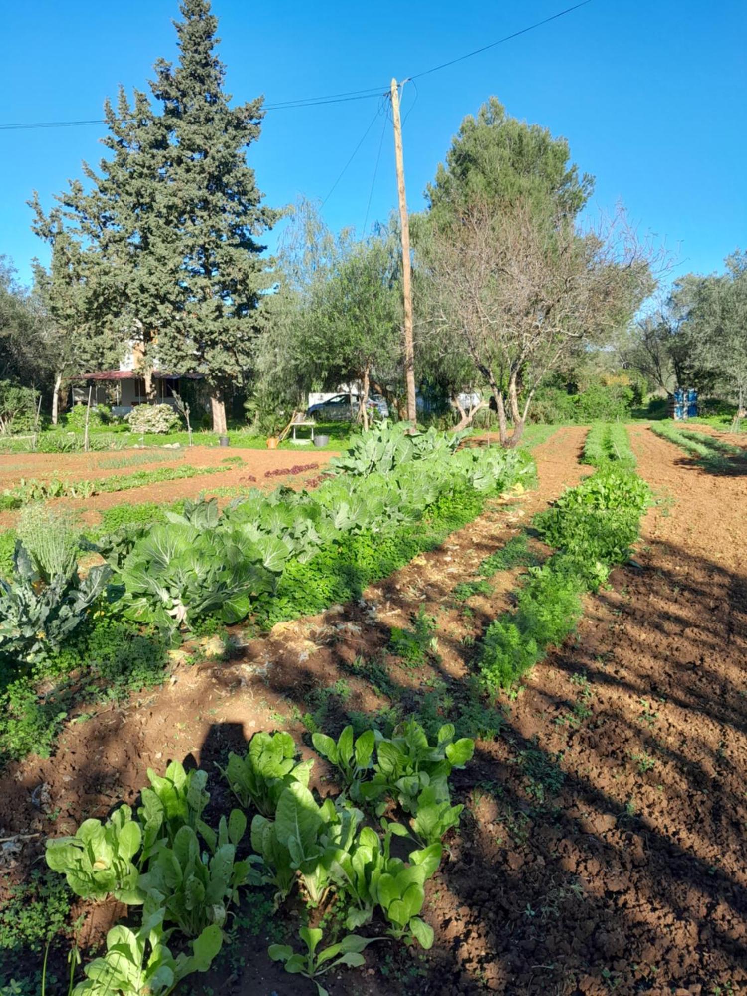 Casa Fonte Βίλα Santo Estevao  Δωμάτιο φωτογραφία